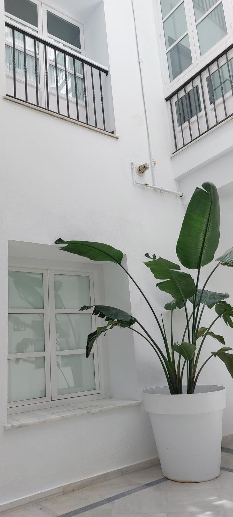 El 2 De Flamenco Bajob Apartment Cadiz Exterior photo